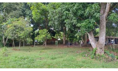 Venta Lote Comercial La Pintada Antioquia