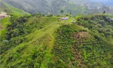 Finca con vista🔥 en el Alto del Nudo, Dosquebradas