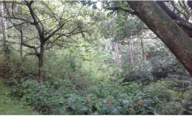 TERRENO EN VENTA EN ALTOS DEL MARIA EN US$68500 NEGOCIABLES