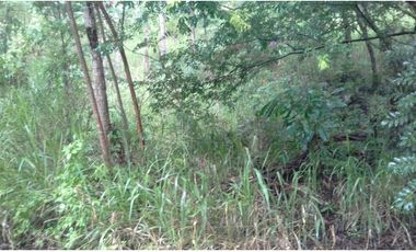 TERRENO EN VENTA EN ALTOS DEL MARIA EN US$68500 NEGOCIABLES