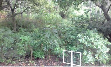 TERRENO EN VENTA EN ALTOS DEL MARIA EN US$68500 NEGOCIABLES