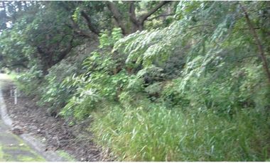 TERRENO EN VENTA EN ALTOS DEL MARIA EN US$68500 NEGOCIABLES