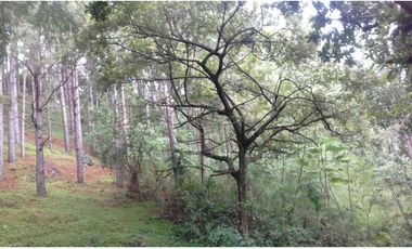 TERRENO EN VENTA EN ALTOS DEL MARIA EN US$68500 NEGOCIABLES