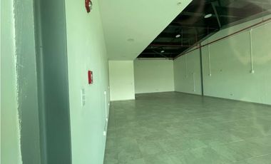 Venta o Alquiler Locales Comerciales - Condado del Rey (MFV)