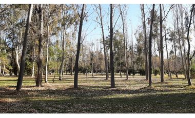 Lote en Venta - Country Club de Campo Maipú
