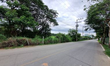 Land for sale in Nong Chom, Chiang Mai
