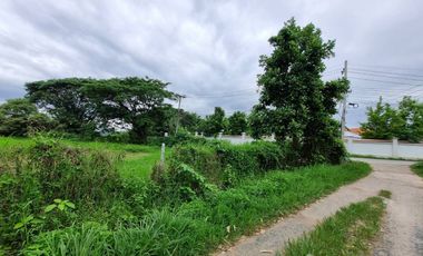Land for sale in Nong Chom, Chiang Mai