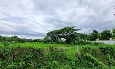 Land for sale in Nong Chom, Chiang Mai