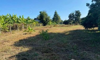 Land for sale in Mae Faek Mai, Chiang Mai