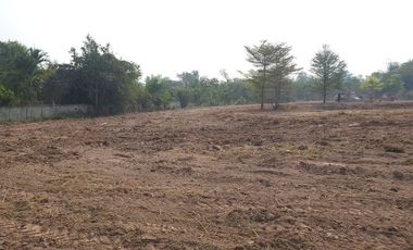 Land for sale in Mae Faek Mai, Chiang Mai