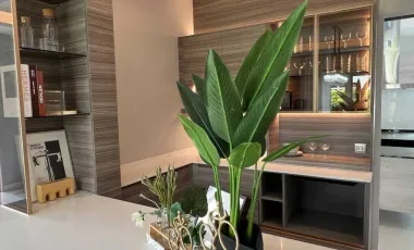 Luxury Detached House in Chiang Mai