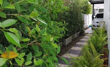 3 Bedroom House for sale in Tha Wang Tan, Chiang Mai