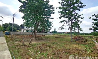 Land for sale in San Kamphaeng, Chiang Mai
