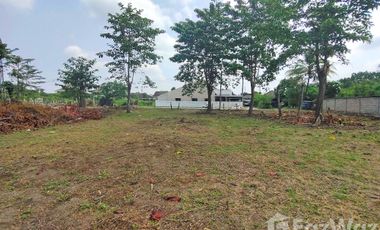 Land for sale in San Kamphaeng, Chiang Mai