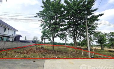 Land for sale in San Kamphaeng, Chiang Mai