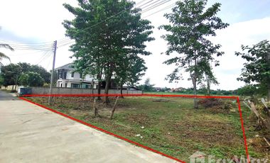 Land for sale in San Kamphaeng, Chiang Mai