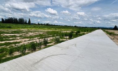 Land for sale in Sam Phraya, Phetchaburi