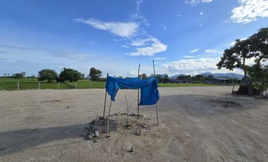 Land for sale in Cha-Am, Phetchaburi