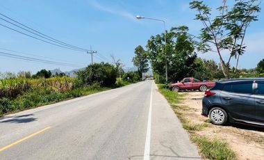 Land for sale in Sam Phraya, Phetchaburi