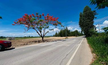 Land for sale in Sam Phraya, Phetchaburi