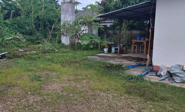2 Bedroom House for sale in Bua Sali, Chiang Rai