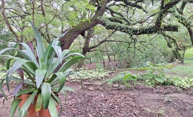 Quinta Campestre | San Francisco | Santiago NL