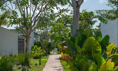 Casa en venta  Mérida Yucatán, Privada Palta 152 Mod E