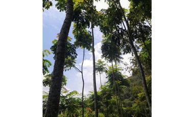 FINCA VENTA EN ANGELOPOLIS ANTIOQUIA