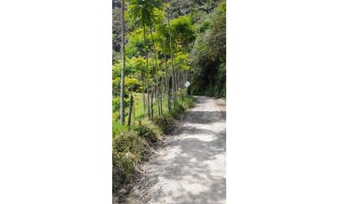 FINCA VENTA EN ANGELOPOLIS ANTIOQUIA