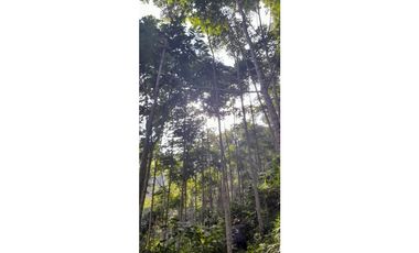 FINCA VENTA EN ANGELOPOLIS ANTIOQUIA