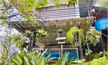 FINCA EN  VENTA EN ANGELÓPOLIS VEREDA LA CLARA EN ANTIOQUIA