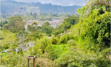FINCA EN  VENTA EN ANGELÓPOLIS VEREDA LA CLARA EN ANTIOQUIA