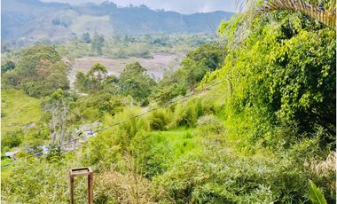 FINCA EN  VENTA EN ANGELÓPOLIS VEREDA LA CLARA EN ANTIOQUIA