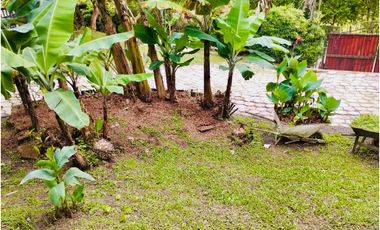 FINCA EN  VENTA EN ANGELÓPOLIS VEREDA LA CLARA EN ANTIOQUIA