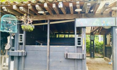 FINCA EN  VENTA EN ANGELÓPOLIS VEREDA LA CLARA EN ANTIOQUIA