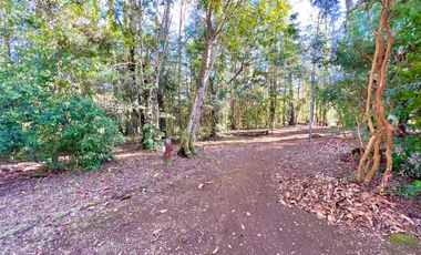 Hermosa casa con amplio jardín y bosque