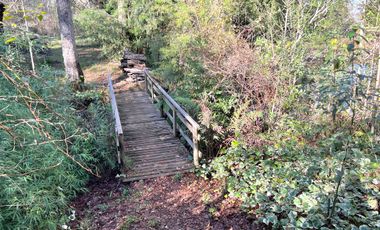 Hermosa casa con amplio jardín y bosque