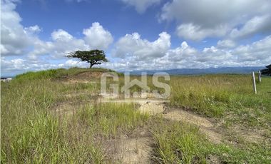 SE VENDEN LOTES CAMPESTRES EN EL CORTIJO VIA CERRITOS - CARTAGO
