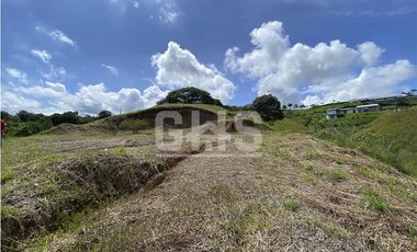 SE VENDEN LOTES CAMPESTRES EN EL CORTIJO VIA CERRITOS - CARTAGO