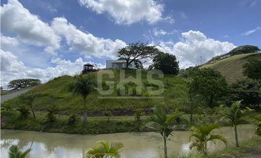 SE VENDEN LOTES CAMPESTRES EN EL CORTIJO VIA CERRITOS - CARTAGO