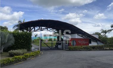 SE VENDEN LOTES CAMPESTRES EN EL CORTIJO VIA CERRITOS - CARTAGO