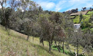 Venta Lote CON 3 MATRICULAS En Excelente Ubicación alto de las Palmas