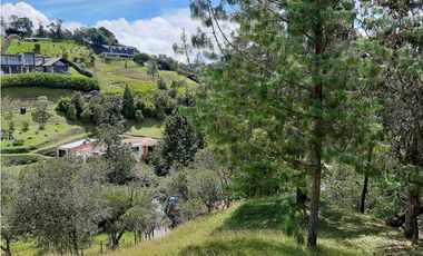 Venta Lote CON 3 MATRICULAS En Excelente Ubicación alto de las Palmas