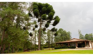 Finca para Renta Amoblada en Rionegro Sector Sajonia