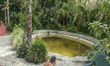 CASA CAMPESTRE EN VENTA UBICADA EN EL CARMEN DE VIBORAL SECTOR VEREDA SAMARIA