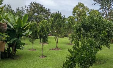 CASA CAMPESTRE EN VENTA UBICADA EN EL CARMEN DE VIBORAL SECTOR VEREDA SAMARIA