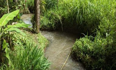 CASA CAMPESTRE EN VENTA UBICADA EN EL CARMEN DE VIBORAL SECTOR VEREDA SAMARIA