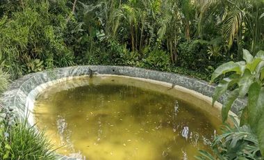 CASA CAMPESTRE EN VENTA UBICADA EN EL CARMEN DE VIBORAL SECTOR VEREDA SAMARIA