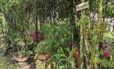 CASA CAMPESTRE EN VENTA UBICADA EN EL CARMEN DE VIBORAL SECTOR VEREDA SAMARIA