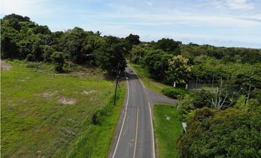 SE VENDE TERRENO EN ESPINO DE SAN CARLOS